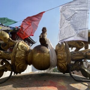 Unforgettable Nepal: Where Adventure Meets Culture